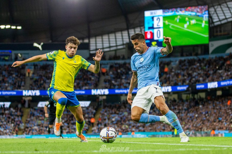 地的扣杀 地的扣杀