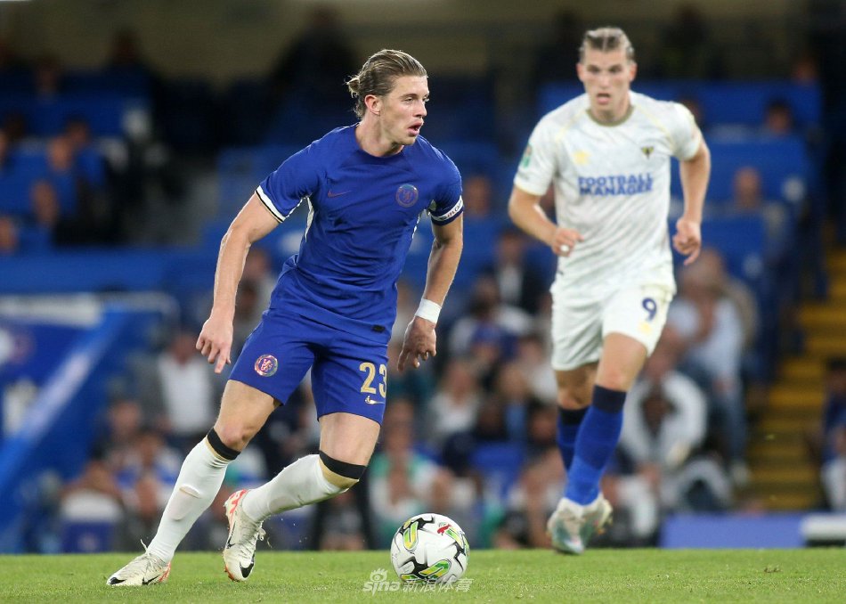 借其顽强的 借其顽强的